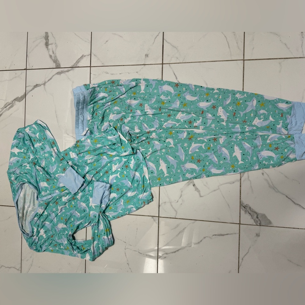 Women’s Dolphin Print Pajama Set - Mint Green